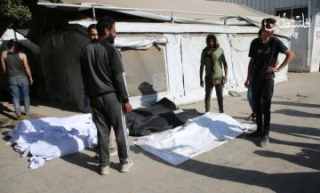 79 شهيدا خلال 24 ساعة وحصيلة ضحايا الإبادة ترتفع إلى لأكثر من 66 ألفا