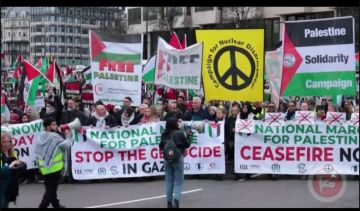 اليوم .. انجلترا تعترف بدولة فلسطين اليوم .. انجلترا تعترف بدولة فلسطين