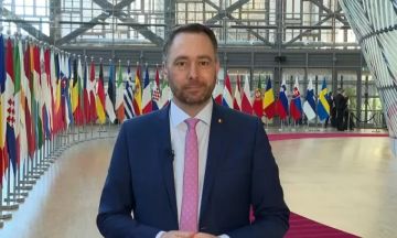 بلجيكا تعتزم الاعتراف بدولة فلسطين وفرض عقوبات صارمة على إسرائيل