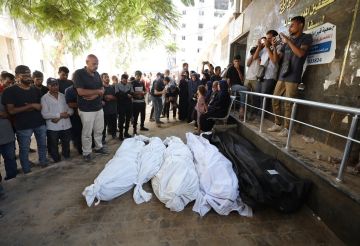 صحة غزة: 61 قتيلا و220 إصابة خلال 24 ساعة صحة غزة: 61 قتيلا و220 إصابة خلال 24 ساعة