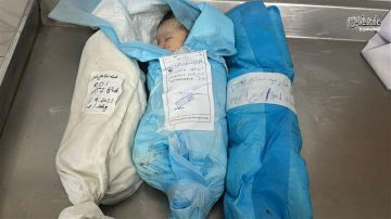 بينهم 4 أجنة.. استشهاد 7 أطفال في مجمع ناصر الطبي