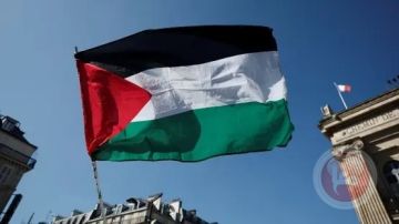 اعترافا بدولة فلسطين.. المؤتمر الدولي لتنفيذ حل الدولتين يعقد اليوم
