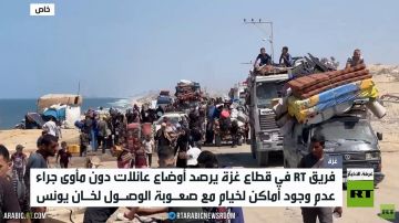 النازحون من غزة.. لا مأوى في الجنوب النازحون من غزة.. لا مأوى في الجنوب