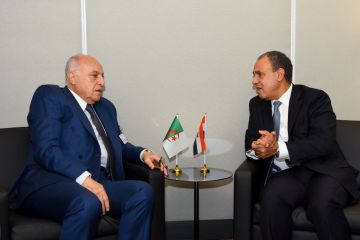 مباحثات مصرية جزائرية في قضايا التعاون الثنائي وتطورات غزة وليبيا مباحثات مصرية جزائرية في قضايا التعاون الثنائي وتطورات غزة وليبيا