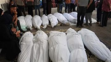 12 شهيدا برصاص وقصف الاحتلال على قطاع غزة منذ فجر السبت 12 شهيدا برصاص وقصف الاحتلال على قطاع غزة منذ فجر السبت