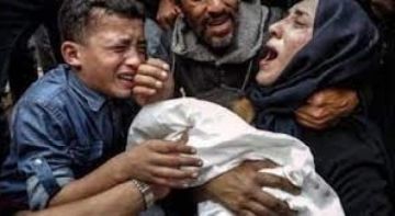 أكثر من 25 شهيدا بنيران وقصف الاحتلال في عدة مناطق بقطاع غزة أكثر من 25 شهيدا بنيران وقصف الاحتلال في عدة مناطق بقطاع غزة