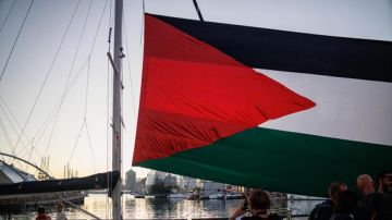 الوفد الإيطالي ينفي انسحابه من أسطول الصمود العالمي الوفد الإيطالي ينفي انسحابه من أسطول الصمود العالمي