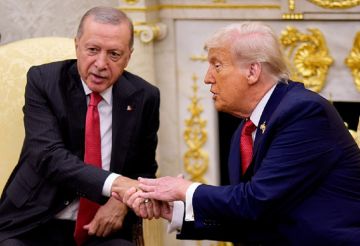 أردوغان: عرضنا على ترامب رؤيتنا للحل في غزة أردوغان: عرضنا على ترامب رؤيتنا للحل في غزة