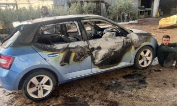 صور...إصابات وإحراق مركبات في هجوم للمستوطنين على مشتل غرب نابلس