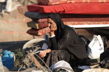 تقرير تصاعد الأسر المعالة من نساء في غزة يدفع نحو التمكين الاقتصادي كضرورة بقاء