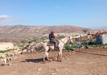 مستعمرون يعيقون عمل طواقم لجنة الانتخابات شرق طوباس