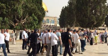 155 مستوطنا يقتحمون الأقصى وقوات الاحتلال تقتحم بلدة سلوان 155 مستوطنا يقتحمون الأقصى وقوات الاحتلال تقتحم بلدة سلوان