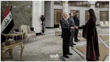 شبهة فساد واضحة.. ما هي معايير تعيين سهى عوض الله سفيرة في العراق؟