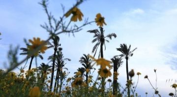 الطقس: أجواء غائمة جزئيا إلى صافية وارتفاع على درجات الحرارة