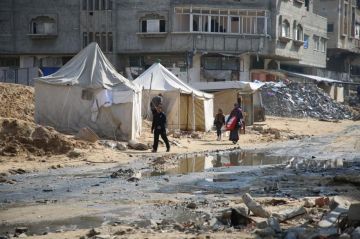 تقرير القوارض تفاقم معاناة النازحين ومخاوف من تسببها بأمراض خطيرة