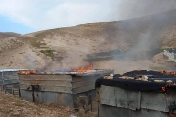 مستوطنون يصعدون اعتداءاتهم.. وتهجير كامل لسكان تجمع رأس العوجا مستوطنون يصعدون اعتداءاتهم.. وتهجير كامل لسكان تجمع رأس العوجا