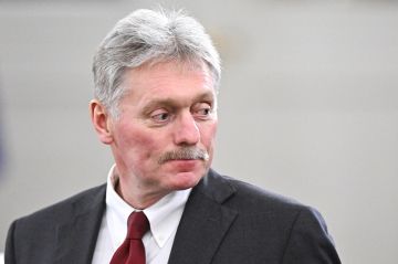 بيسكوف يتحدث عن ترتيبات زيارة ويتكوف إلى موسكو وعن المليار دولار لفلسطين