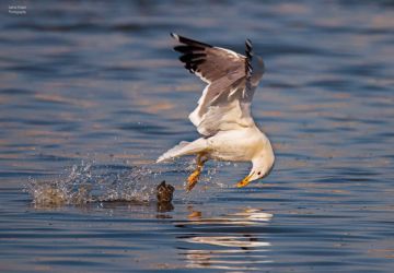 الطقس: انخفاض على درجات الحرارة وأمطار على معظم المناطق