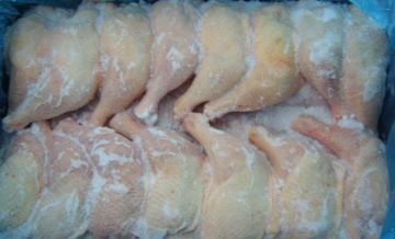 ضبط 100 كيلوغرام من صدور الدجاج الفاسدة جنوب قطاع غزة 