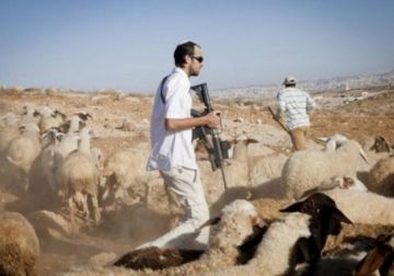 مستعمرون يرعون مواشيهم في أراضي المواطنين جنوب المغير