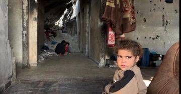 بيان أوروبي-أردني: الأوضاع الإنسانية بغزة تتطلب إجراءات عاجلة