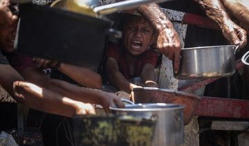 تقرير وقف الإبادة لا يوقف الجوع.. التكايا شريان الحياة لمئات آلاف العائلات في غزة