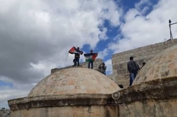 بين الحلم والواقع.. فلسطين حية