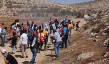 مستوطنون يهاجمون منازل المواطنين في بلدة بيتا مستوطنون يهاجمون منازل المواطنين في بلدة بيتا