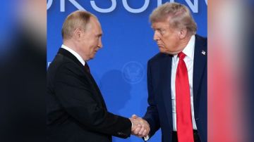 ماذا قال ترامب عن موقفه بشأن رئاسة مجلس السلام مدى الحياة ؟