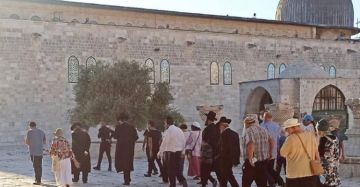 عشرات المستوطنين يقتحمون الأقصى ويؤدون طقوسا تلمودية عشرات المستوطنين يقتحمون الأقصى ويؤدون طقوسا تلمودية