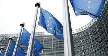 الاتحاد الأوروبي: لدينا شكوك جدية بشأن بنود ميثاق مجلس السلام