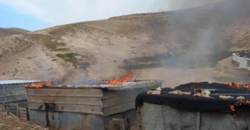 تصعيد للمستوطنين.. إصابات في جبع وإخلاء تجمع رأس عين العوجا بالكامل