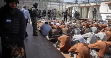 مركز فلسطين: أسرى غزة يتعرضون لموت بطيء داخل قسم ركيفت