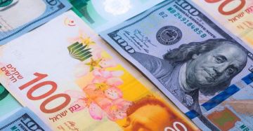 الأغذية العالمي يدعو لتوسيع المساعدات النقدية في غزة