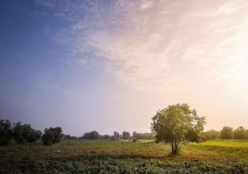 الطقس: أجواء غائمة جزئيا وارتفاع طفيف على الحرارة