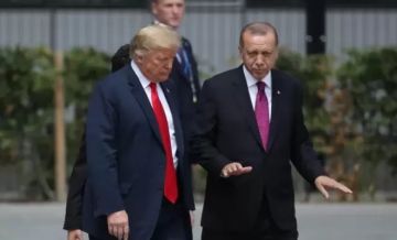 ترامب يدعو أردوغان للمشاركة كعضو مؤسس في مجلس السلام بغزة