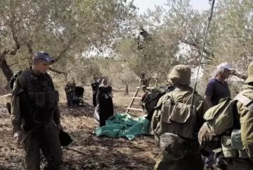 بالفيديو والصور مستوطنون يصعدون اعتداءاتهم على قرية المغير والاحتلال يعتقل متضامنين أجانب