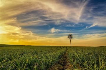 أجواء باردة وفرصة لتساقط أمطار متفرقة