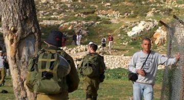 مستوطنون يقحمون برك سليمان جنوب بيت لحم مستوطنون يقحمون برك سليمان جنوب بيت لحم