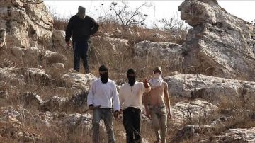 خلال أسبوعين.. أوتشا: هجمات المستوطنين هجرت 100 عائلة فلسطينية بالضفة