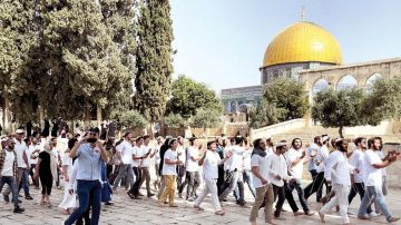 الأوقاف: 27 اقتحاما للأقصى و53 منعا للأذان بالحرم الإبراهيمي