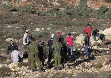 الاحتلال يعتقل 4 مواطنين عقب اعتداء المستعمرين عليهم جنوب الخليل