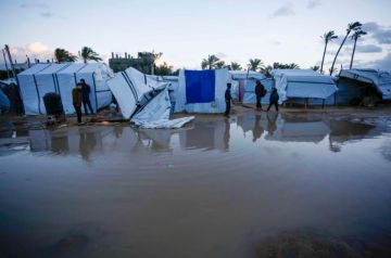 طقس فلسطين: غائم جزئيا وبارد نسبيا