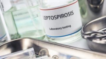 وزارة الصحة بغزة تصدر بيانا حول مرض الليبتوسبيروزيس 