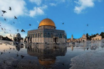 الطقس: درجات الحرارة أعلى من معدلها السنوي