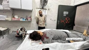 تقرير همسة.. طفلة انتظرت والدها المفقود فاغتالها التمشيط وهي نائمة تقرير همسة.. طفلة انتظرت والدها المفقود فاغتالها التمشيط وهي نائمة