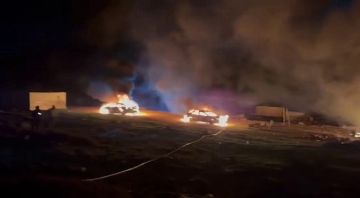 إرهاب المستوطنين يتصاعد تحت أنظار الجيش.. جرحى وحرائق وتشريد عائلات فلسطينية جراء اعتداءات في القدس