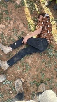 إصابة طفلين وسيدة واعتداءات واسعة للمستوطنين على رعاة الأغنام في مسافر يطا