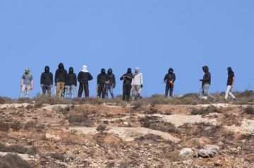 بالفيديو إصابة سيدة في هجوم المستوطنين شمال أريحا