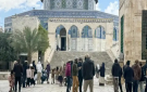 1179 مستوطنا اقتحموا المسجد الأقصى خلال أسبوع واحد - ps